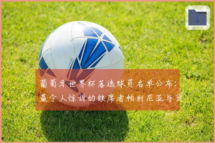 葡萄牙世界杯落选球员名单公布：最令人惊讶的缺席者帕利尼亚与莫拉