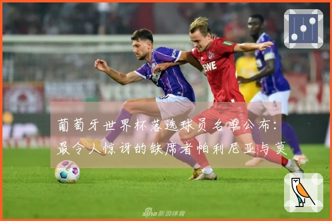 葡萄牙世界杯落选球员名单公布：最令人惊讶的缺席者帕利尼亚与莫拉